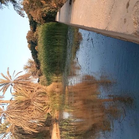 Auberge Aain Nakhla كلميم المظهر الخارجي الصورة