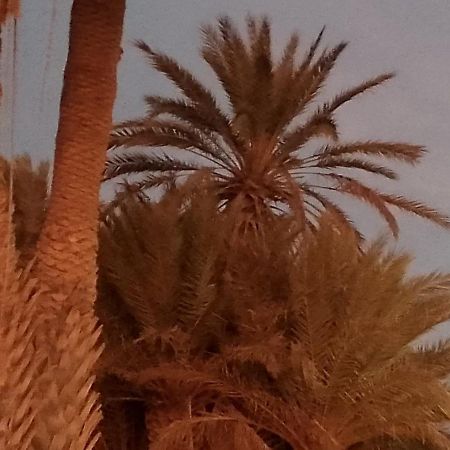 Auberge Aain Nakhla كلميم المظهر الخارجي الصورة