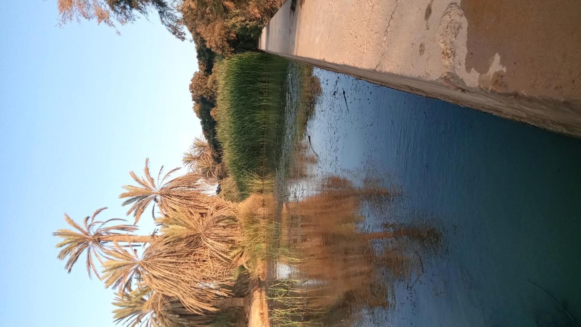 Auberge Aain Nakhla كلميم المظهر الخارجي الصورة