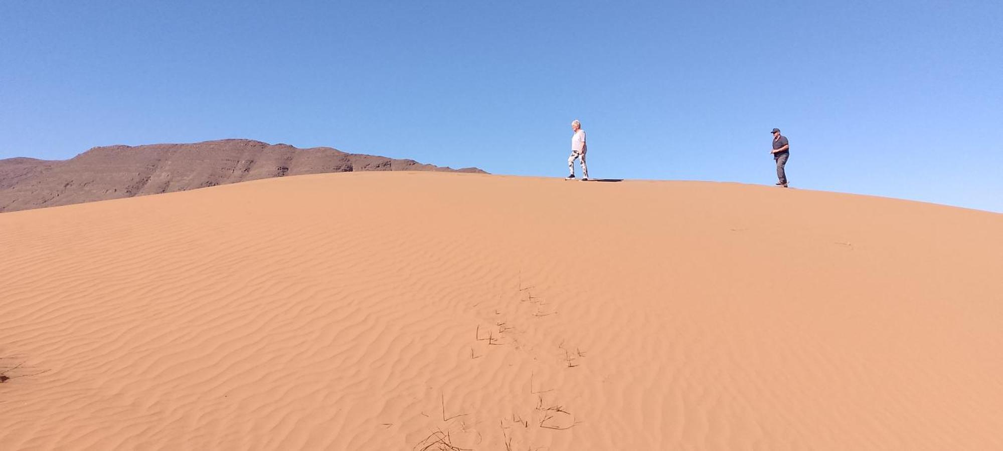 Auberge Aain Nakhla كلميم المظهر الخارجي الصورة