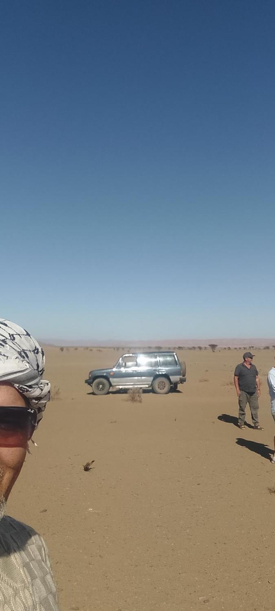Auberge Aain Nakhla كلميم المظهر الخارجي الصورة
