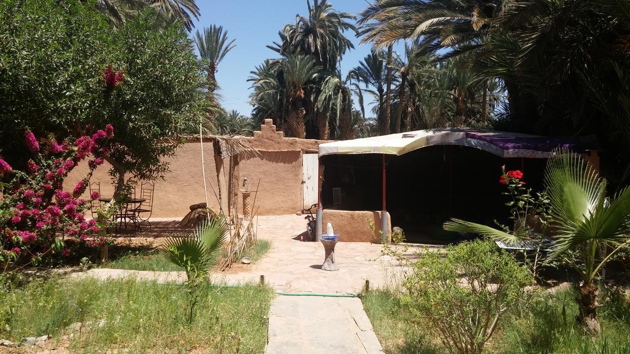 Auberge Aain Nakhla كلميم المظهر الخارجي الصورة